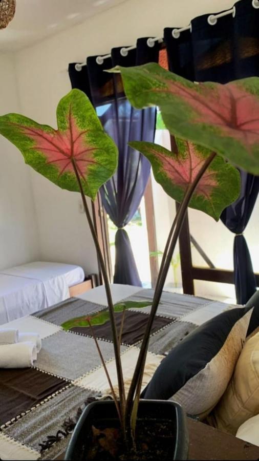 A Arca Pousada Praia de Pipa Buitenkant foto